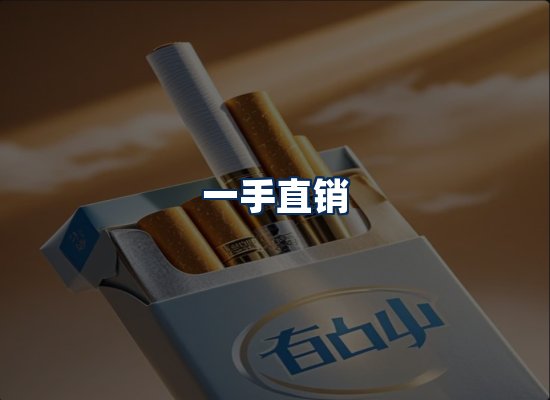 专业团队办公环境